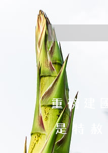 重磅！建國以來第九次特赦！一張圖弄清楚“什么是特赦”？特赦≠免罪！